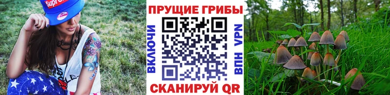 Галлюциногенные грибы GOLDEN TEACHER omg как зайти Кодинск купить