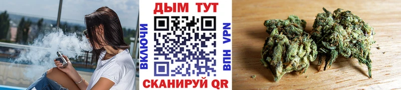 магазин продажи наркотиков  Кодинск  Бошки Шишки SATIVA & INDICA 
